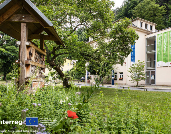 INTERREG MBS 